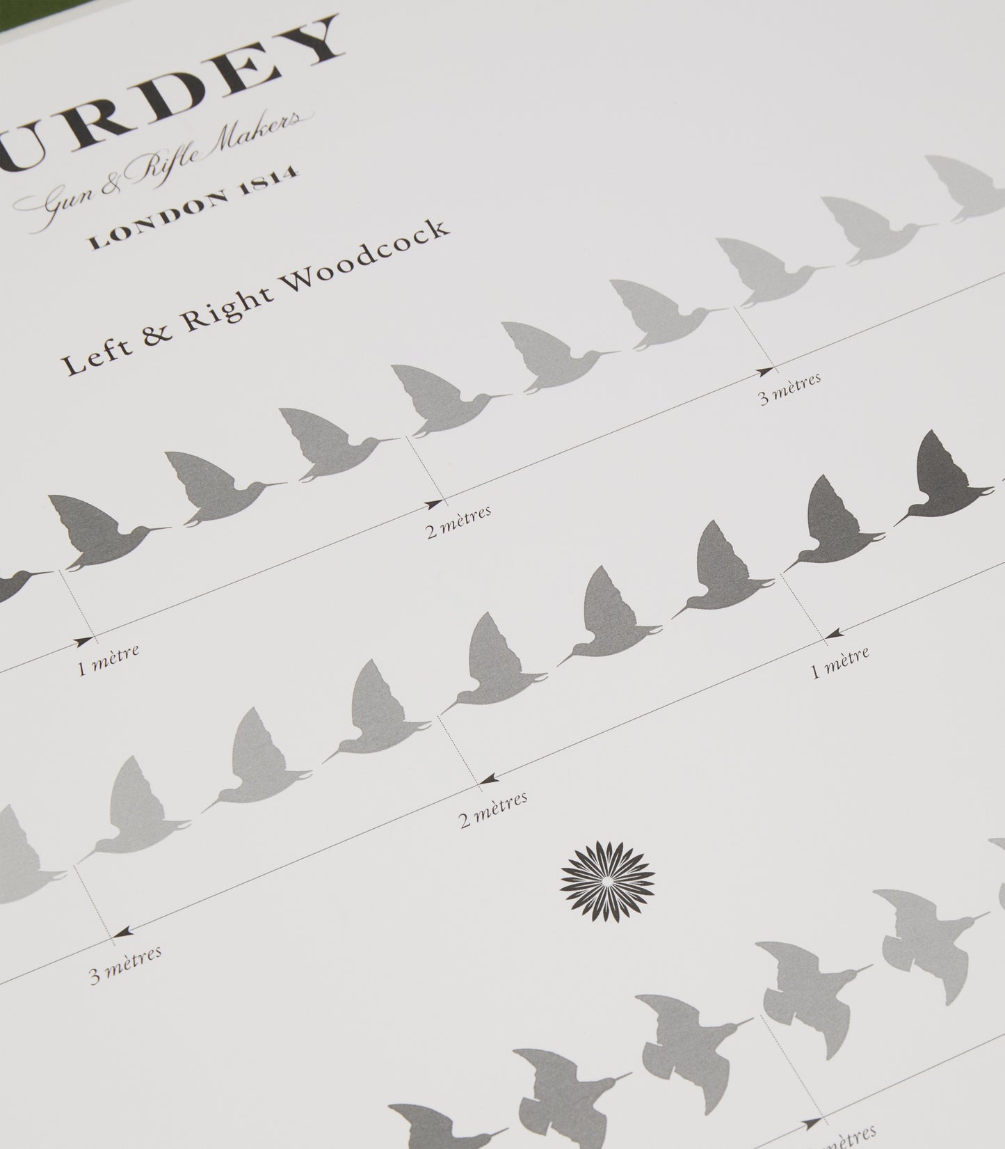 Left and Right Woodcock Print In White