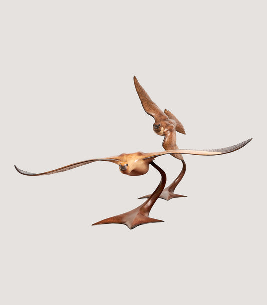 Peregrine Chasing Houbara Sculpture in Bronze - Limited Edition of 3