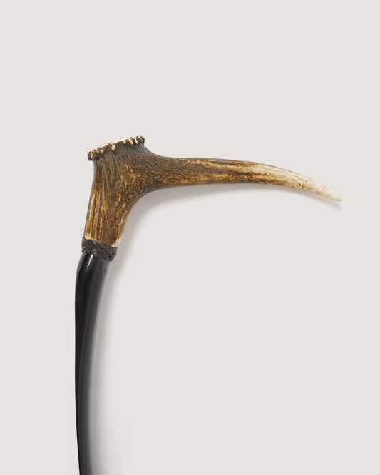 Deerhorn and Buffalo Shoe Horn