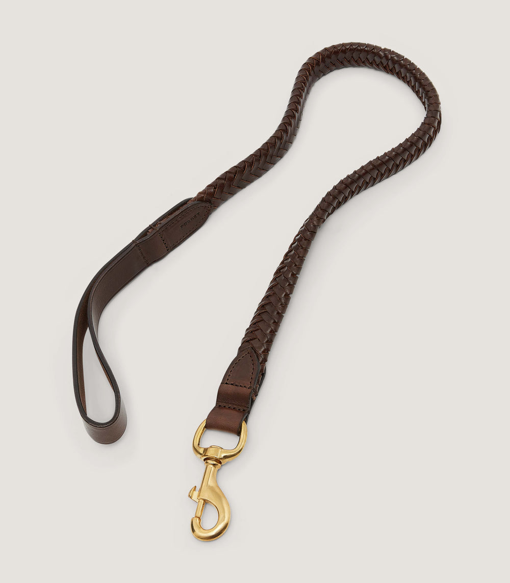 Braided Leather Dog Lead in Dark Brown