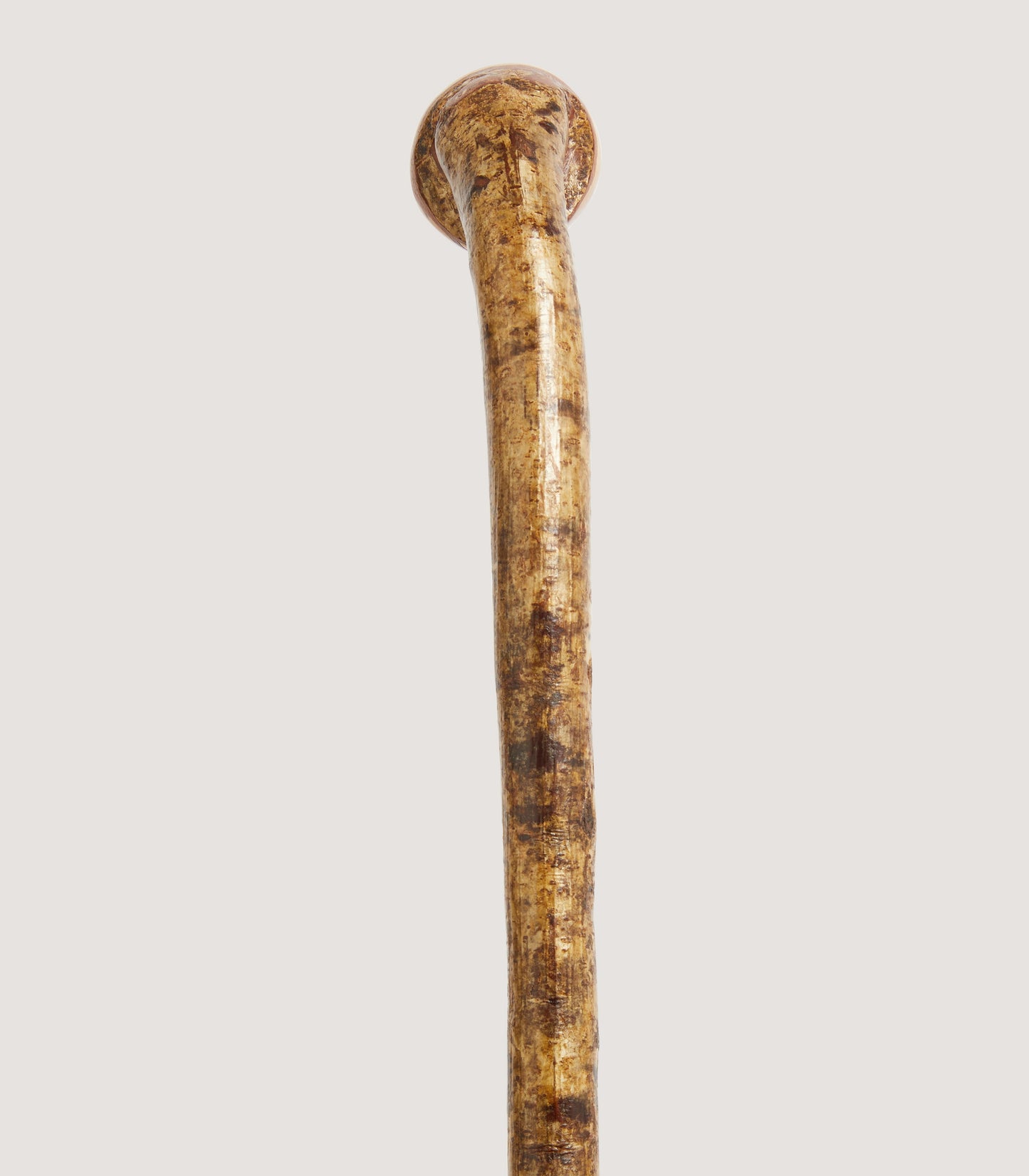 Hazel Knob Stick