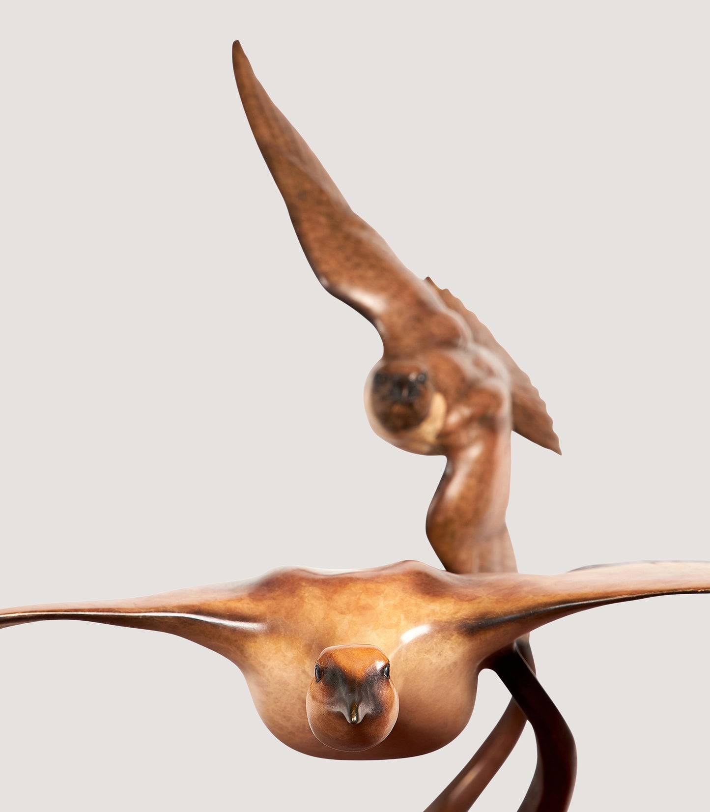 Peregrine Chasing Houbara Sculpture in Bronze - Limited Edition of 3
