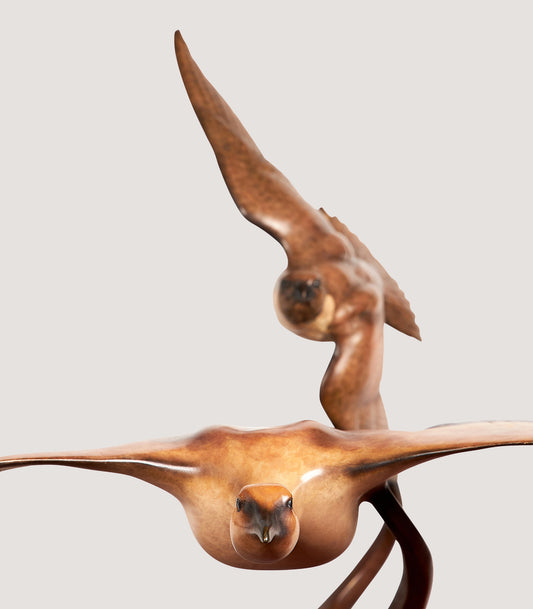 Peregrine Chasing Houbara Sculpture in Bronze - Limited Edition of 3