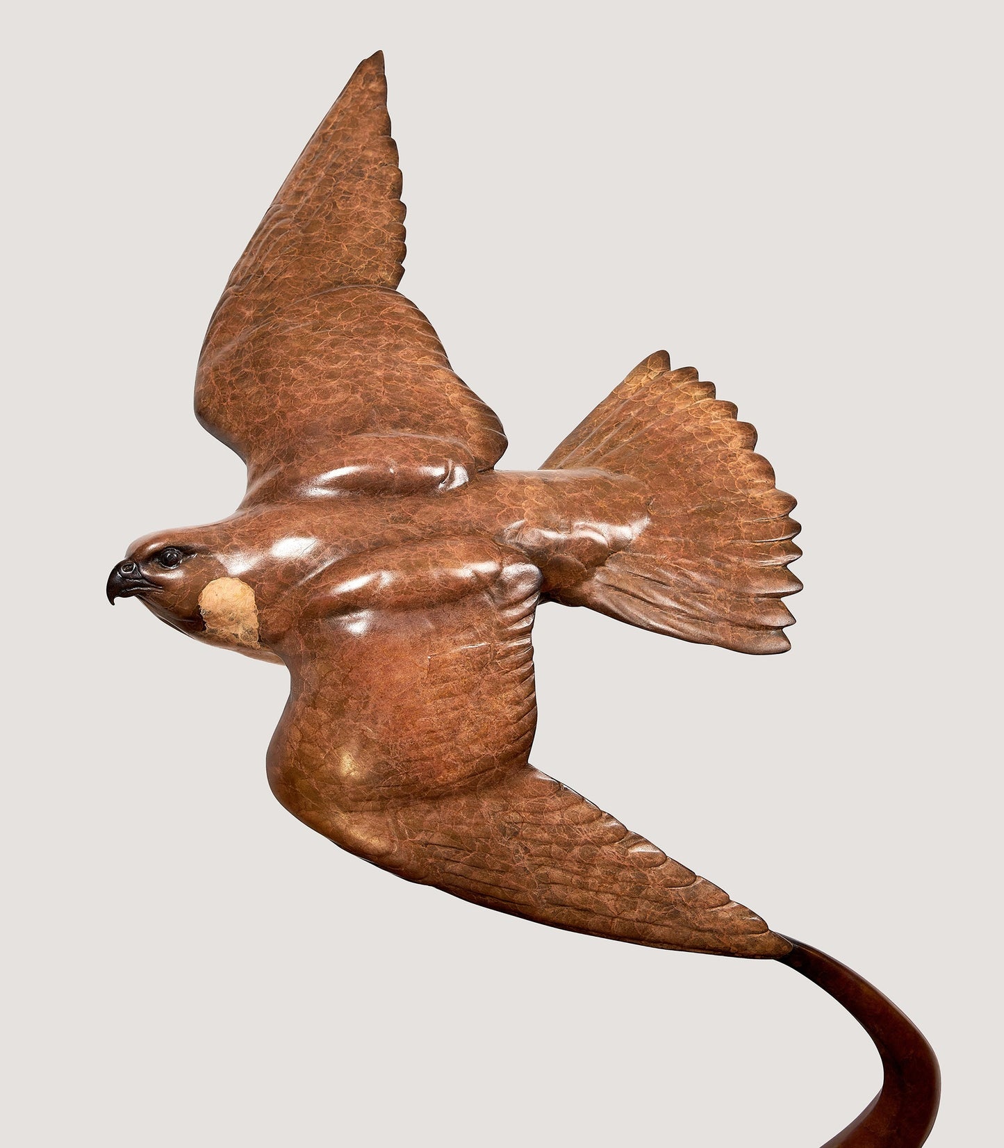 Peregrine Chasing Houbara Sculpture in Bronze - Limited Edition of 3