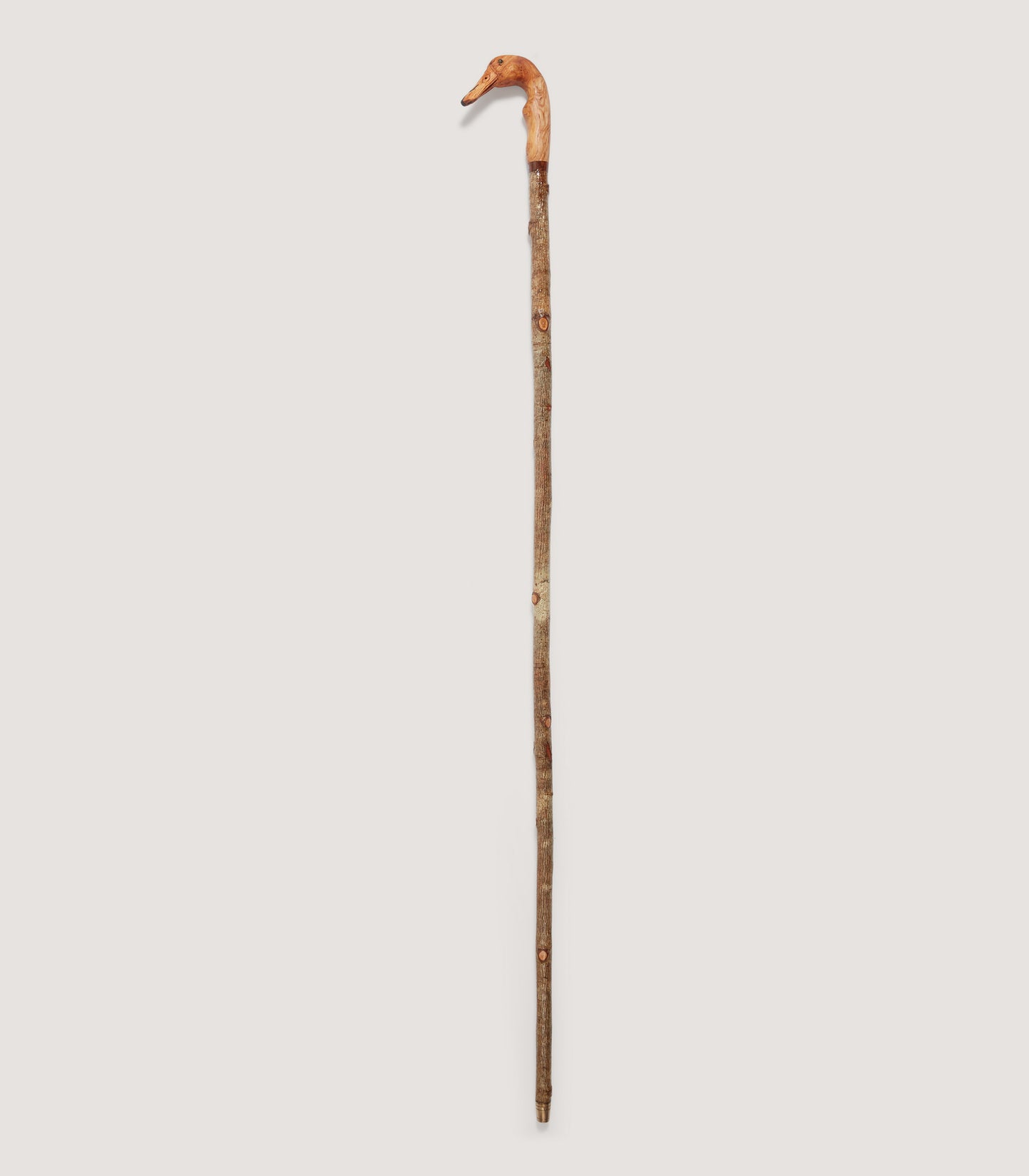 Hand Carved Duck Head Birch Walking Stick