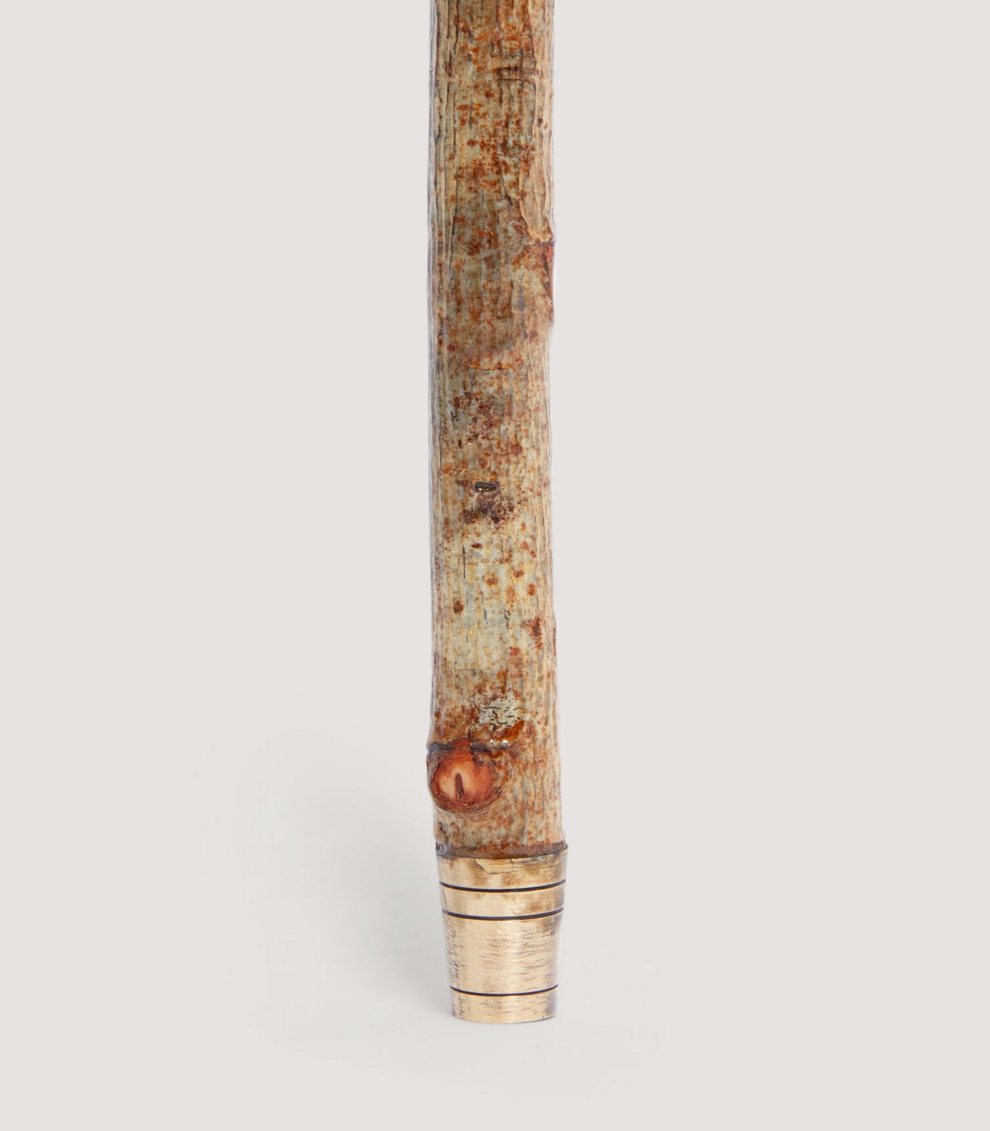 Hand Carved Duck Head Birch Walking Stick
