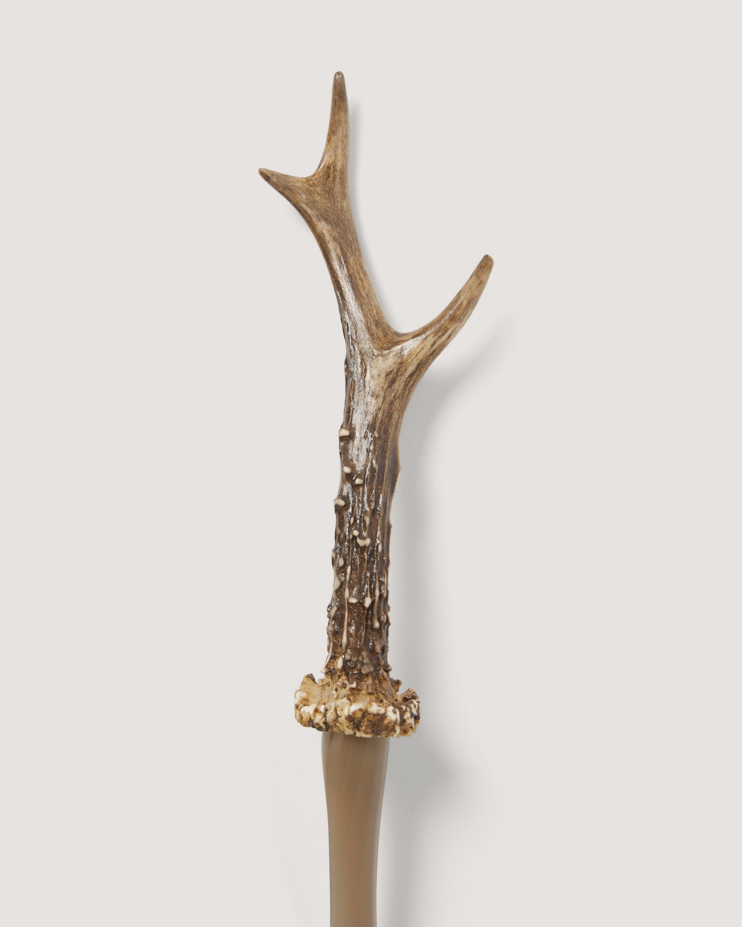 Roedeer and Buffalo Shoe Horn