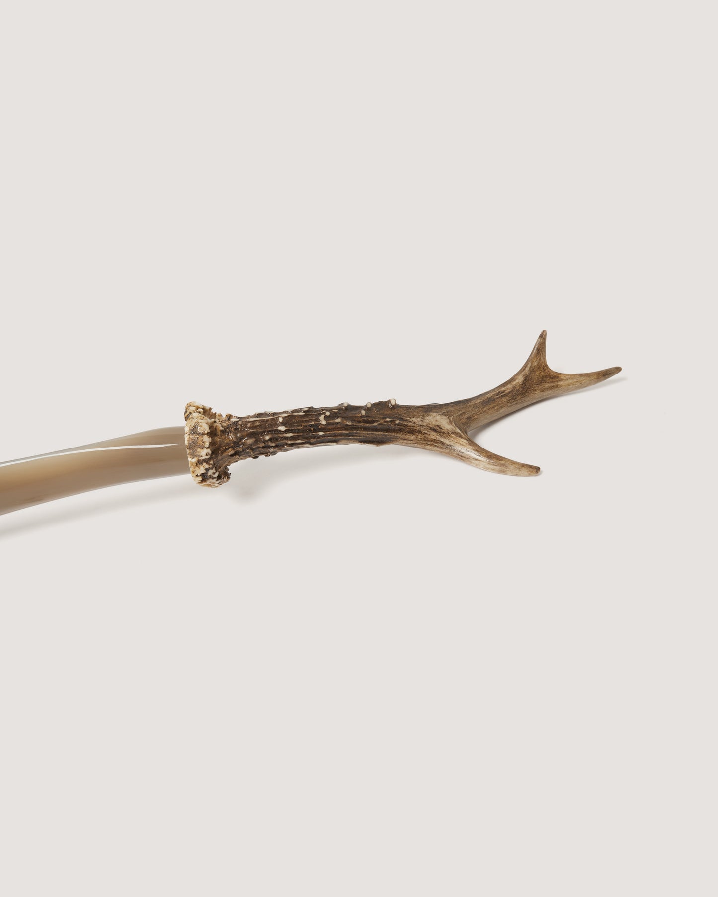 Roedeer and Buffalo Shoe Horn