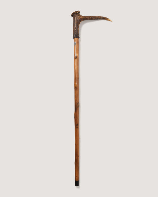 Deerhorn Rosette Walking Stick