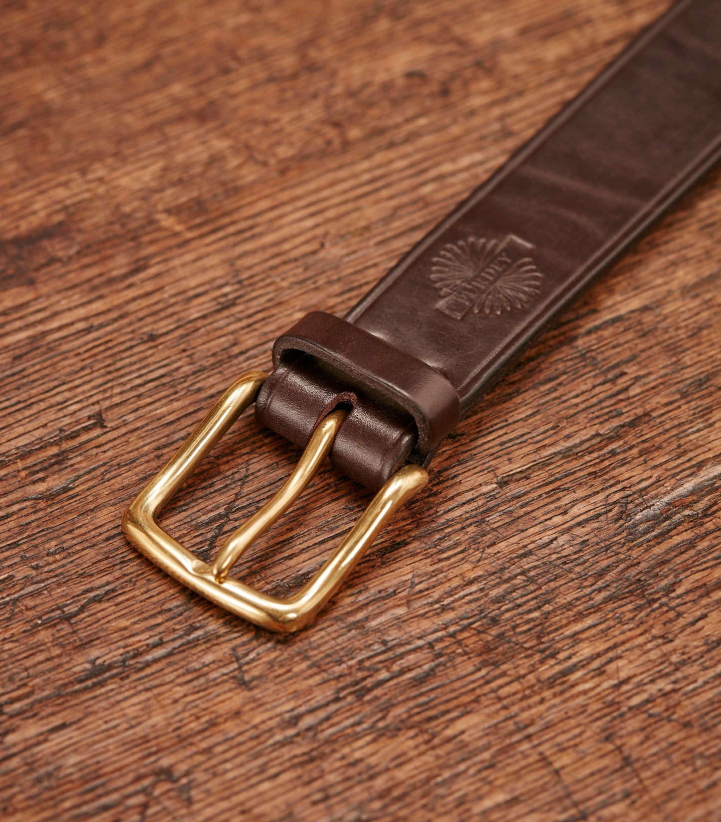 Unlined Bridle Leather Belt In Purdey Havana
